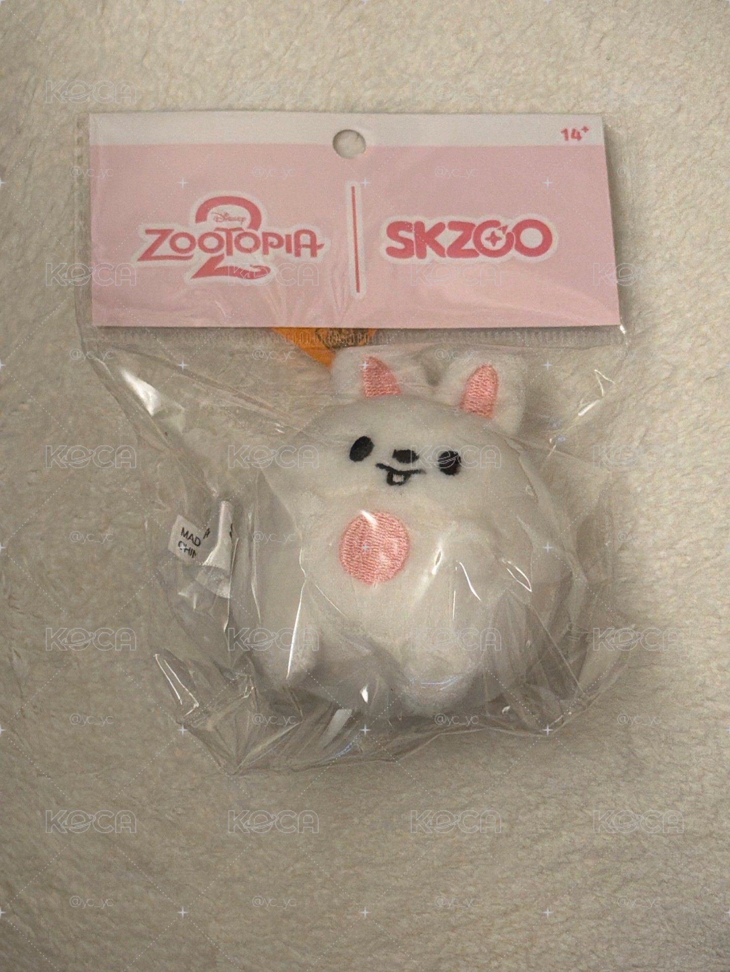 SKZOO台北快閃 李畢胖娃