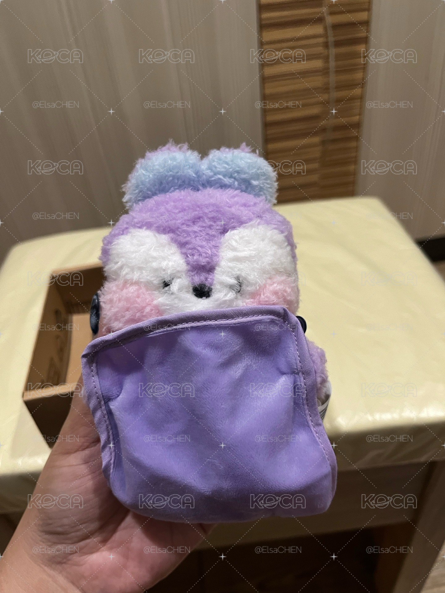 bt21 Mang mini娃