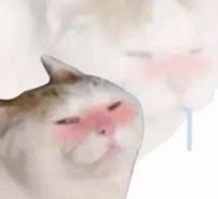 qbjcy
