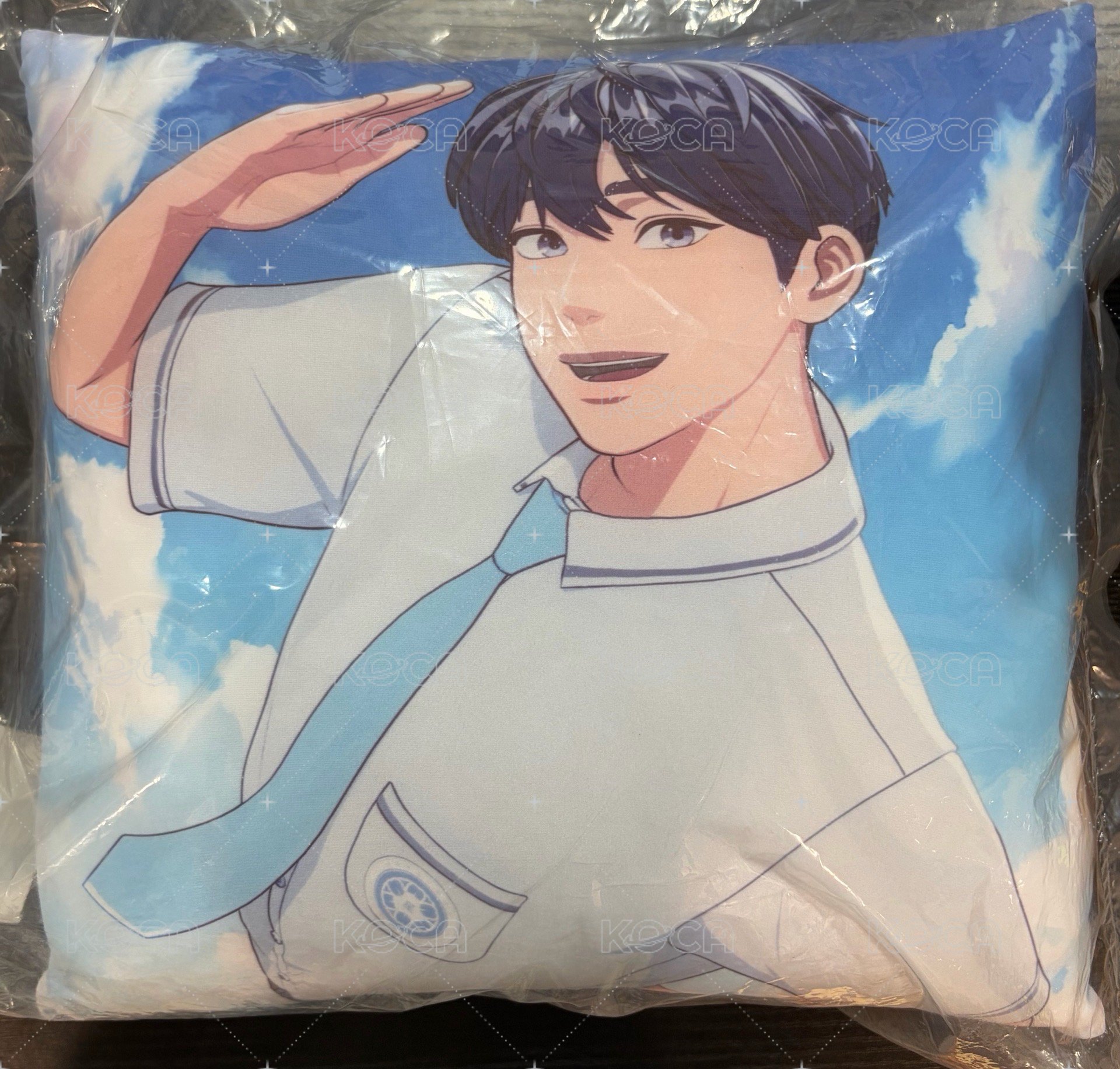 藝俊💙（已拆）