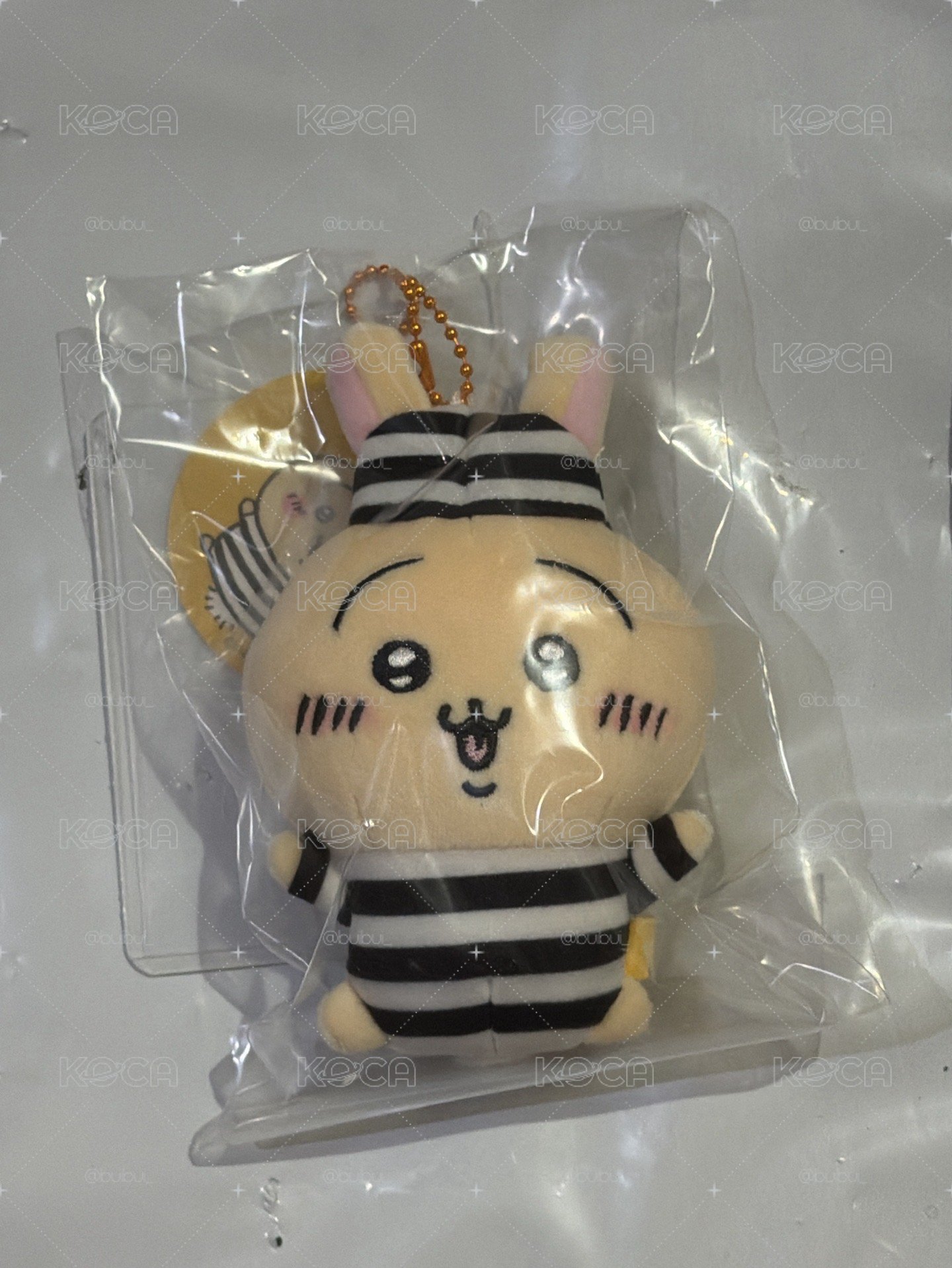 監獄兔