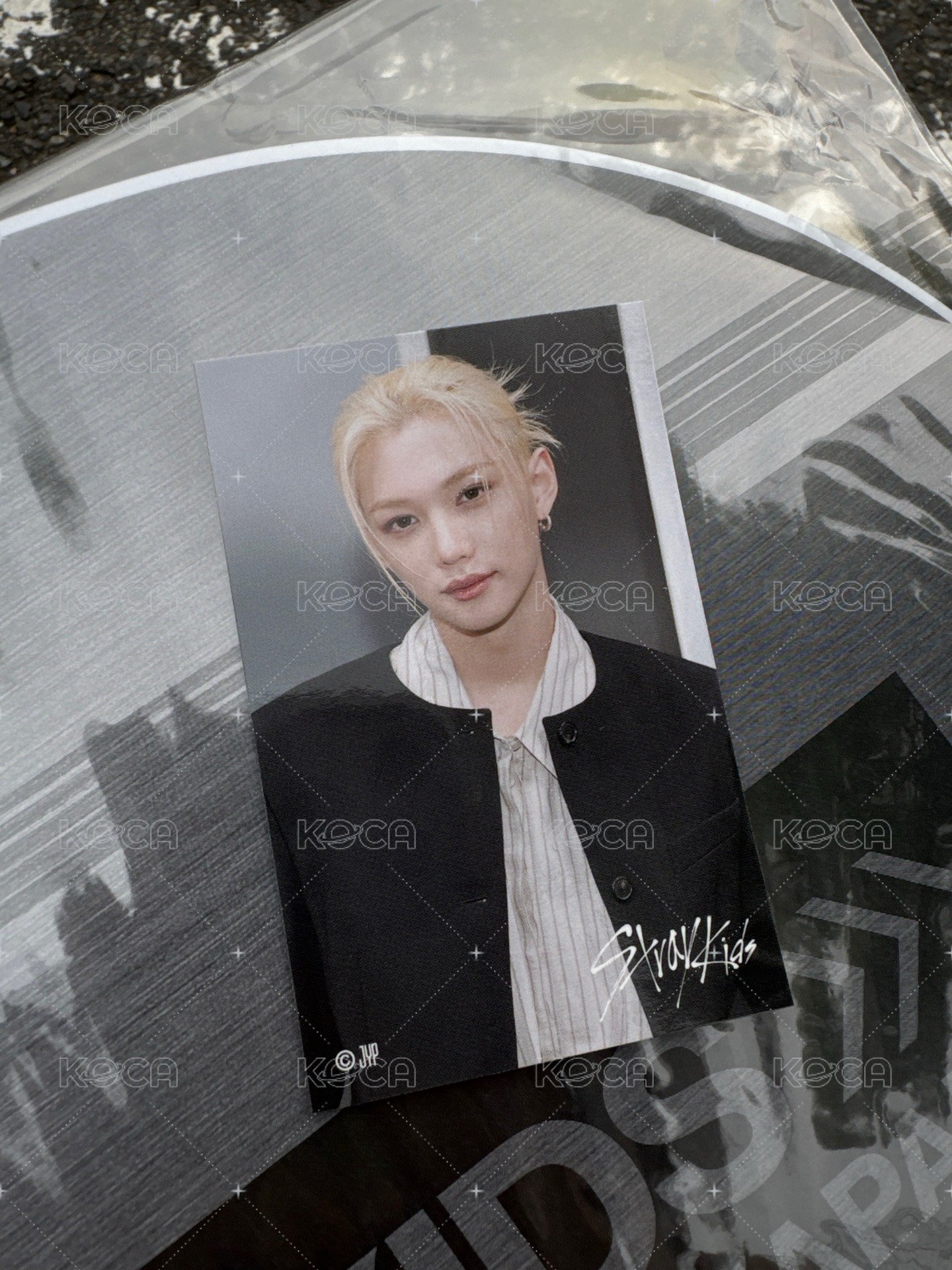 菲B（需多帶燦彬寅任一）