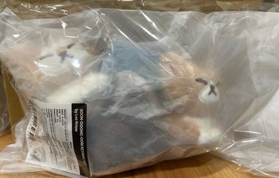 順東多吊飾 有小卡