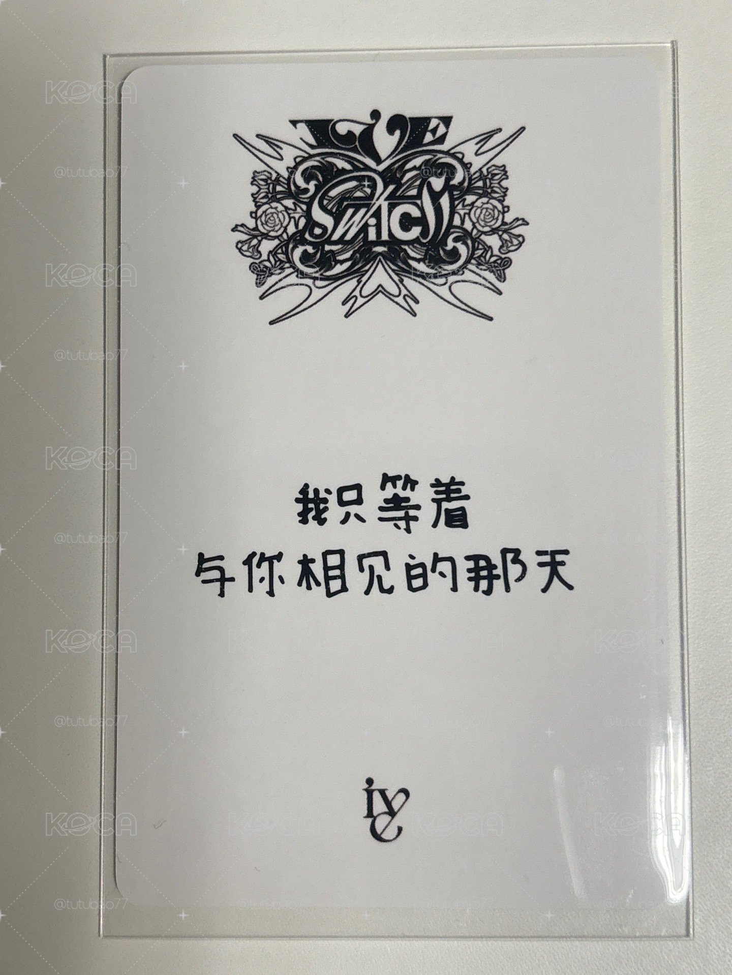 yzy中背栗