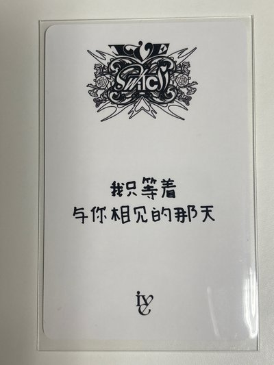 yzy中背栗