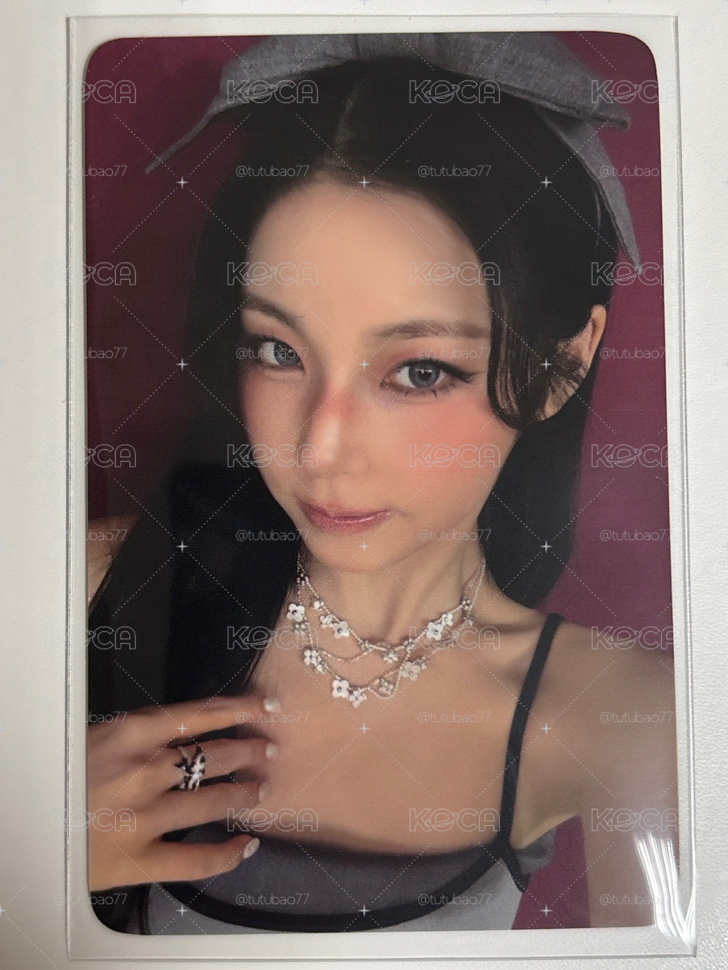 紅底圭