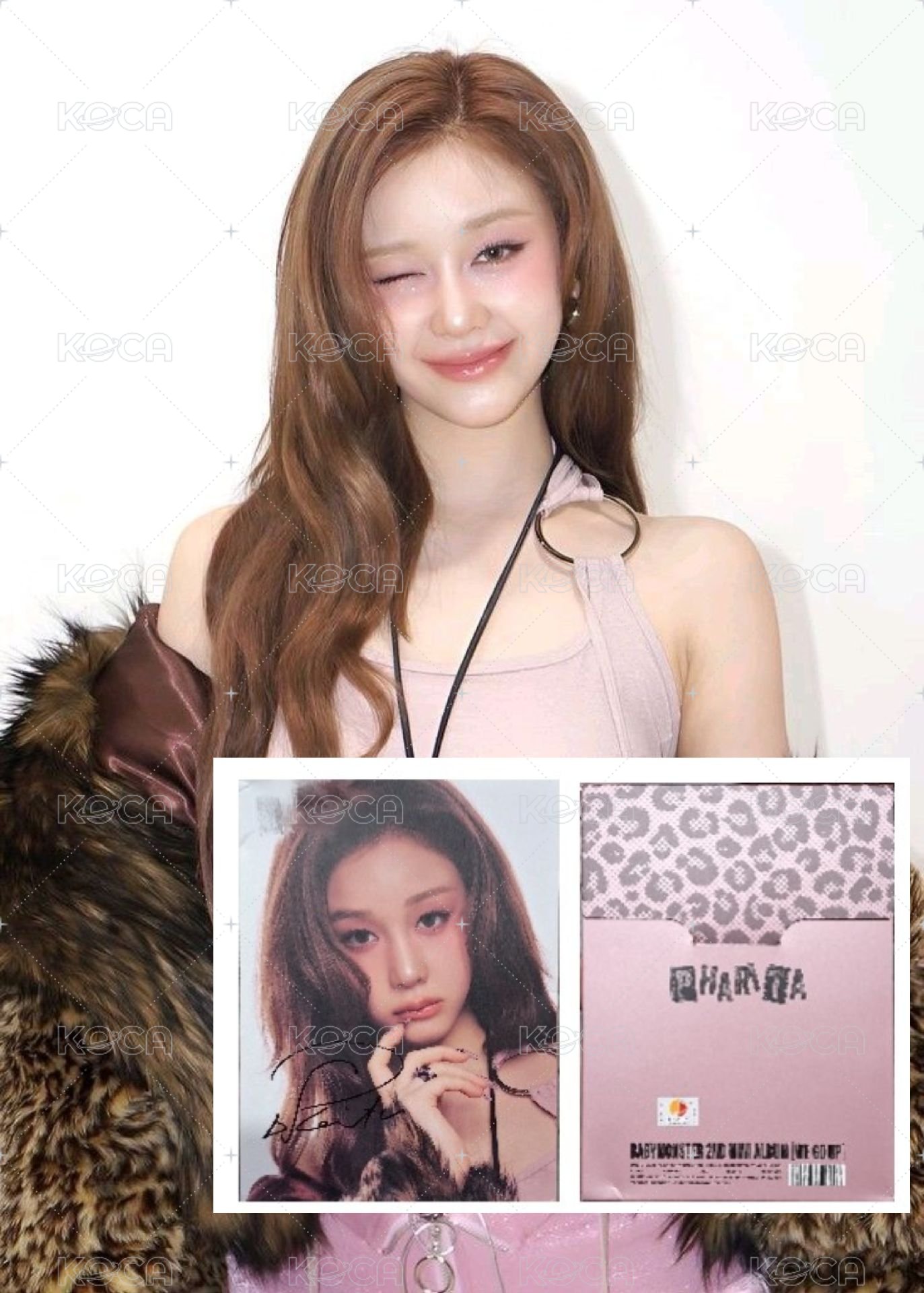 寶怪全員超大盤🦋🐈‍⬛🦥🐰🦌🐼🐬（大降價）
