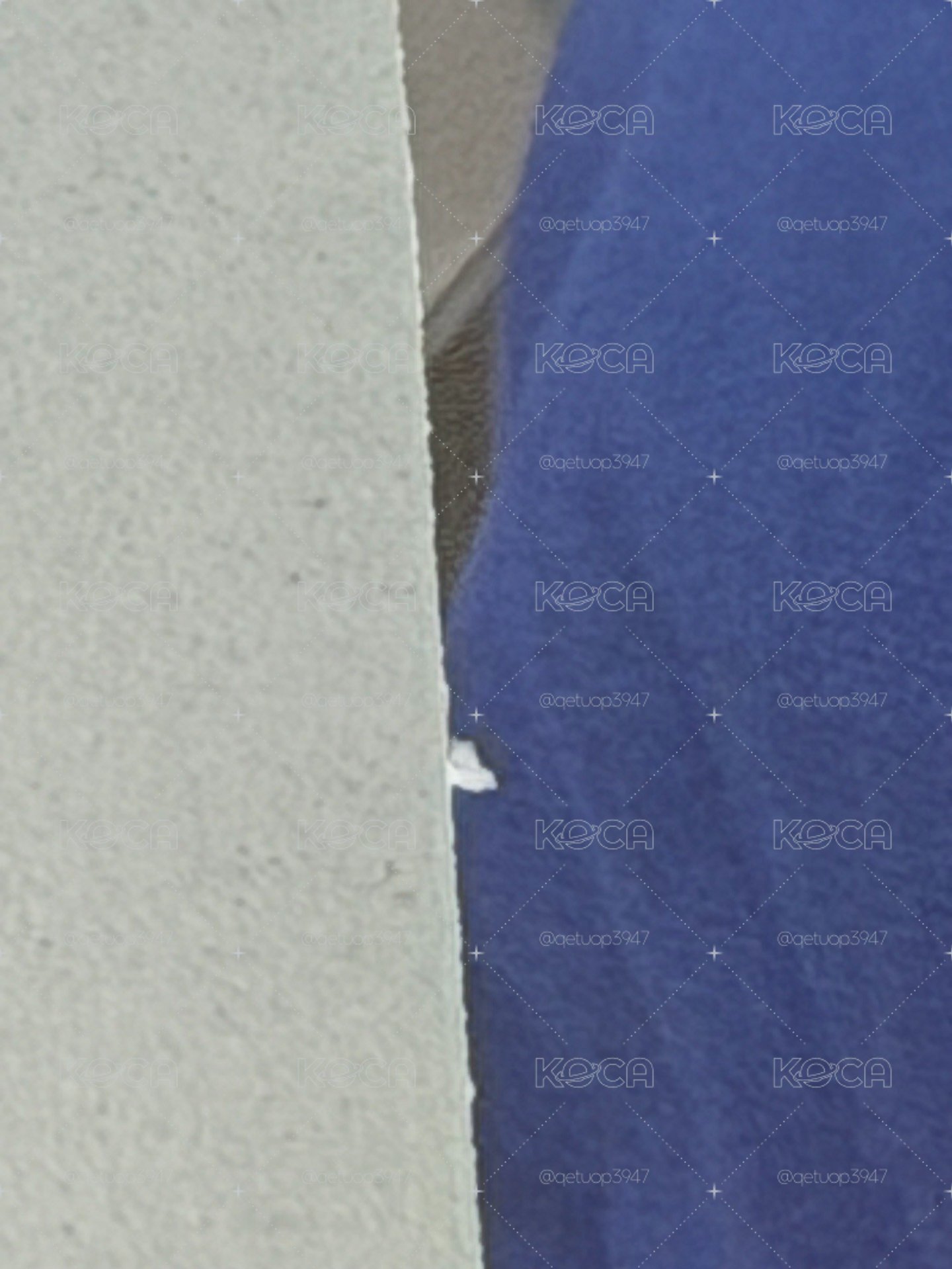 - 鎬萌的藍衣安*2