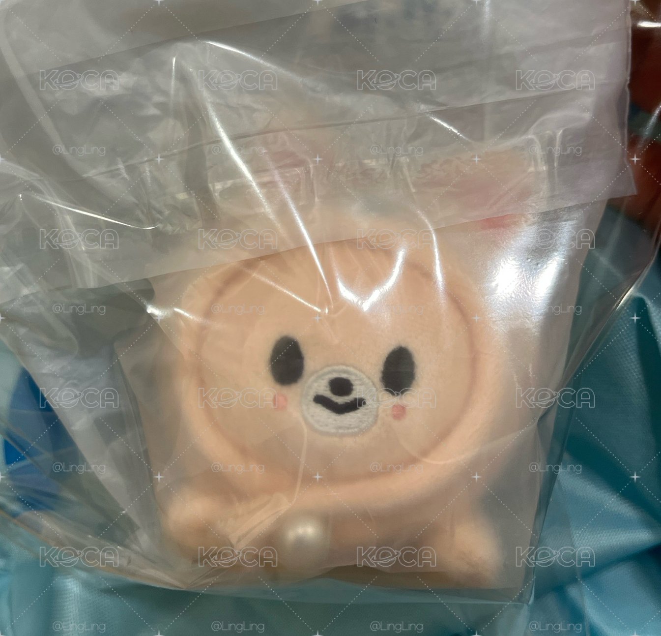 寅趴娃