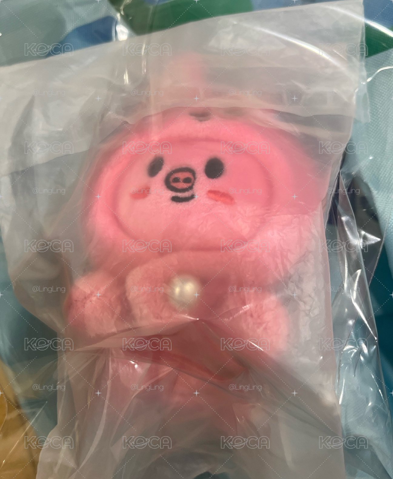 彬趴娃