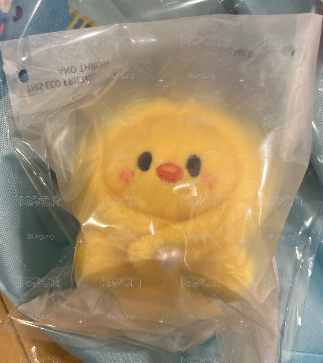 菲趴娃