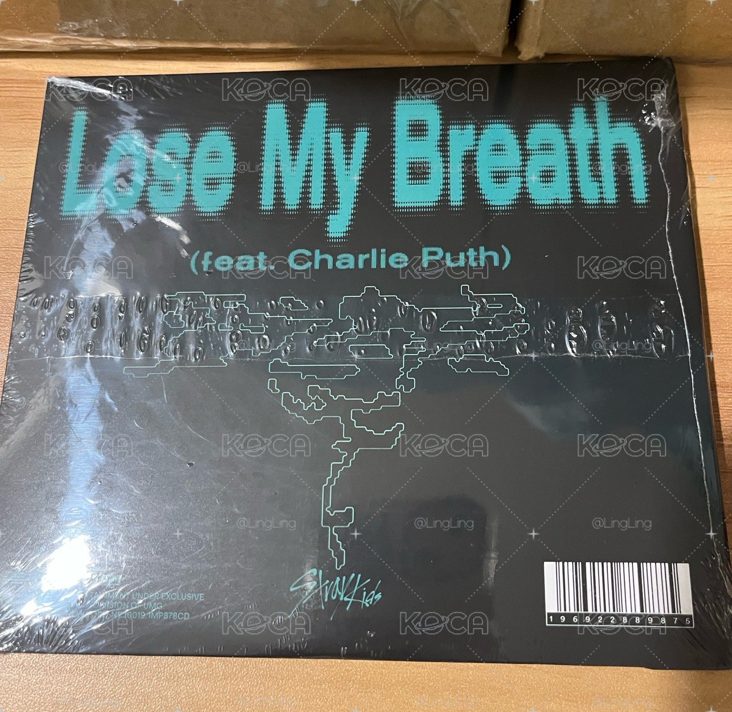 Lose My Breathe 