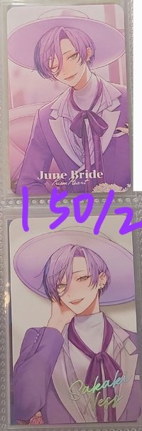 ネスset