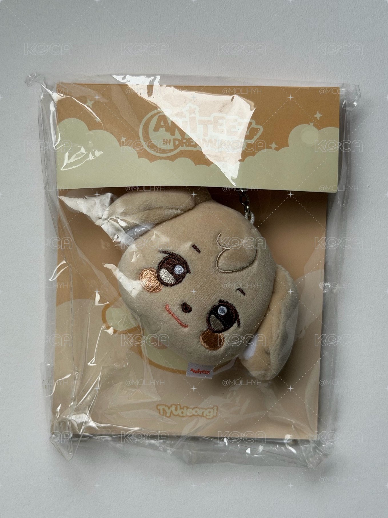 ANITEEZ IN DREAMLAND 潤大頭吊飾 全新含卡