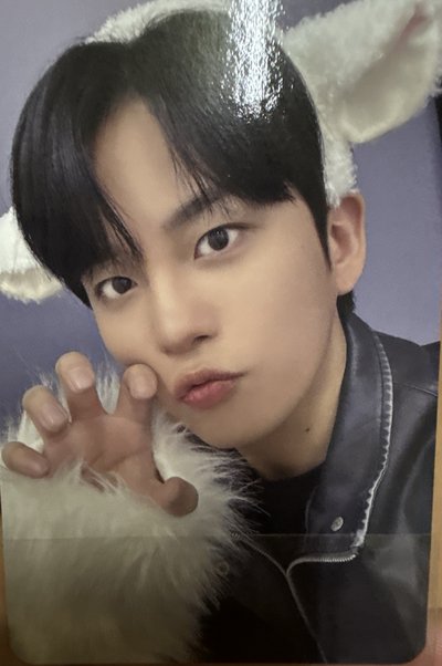 崔小熊🐻