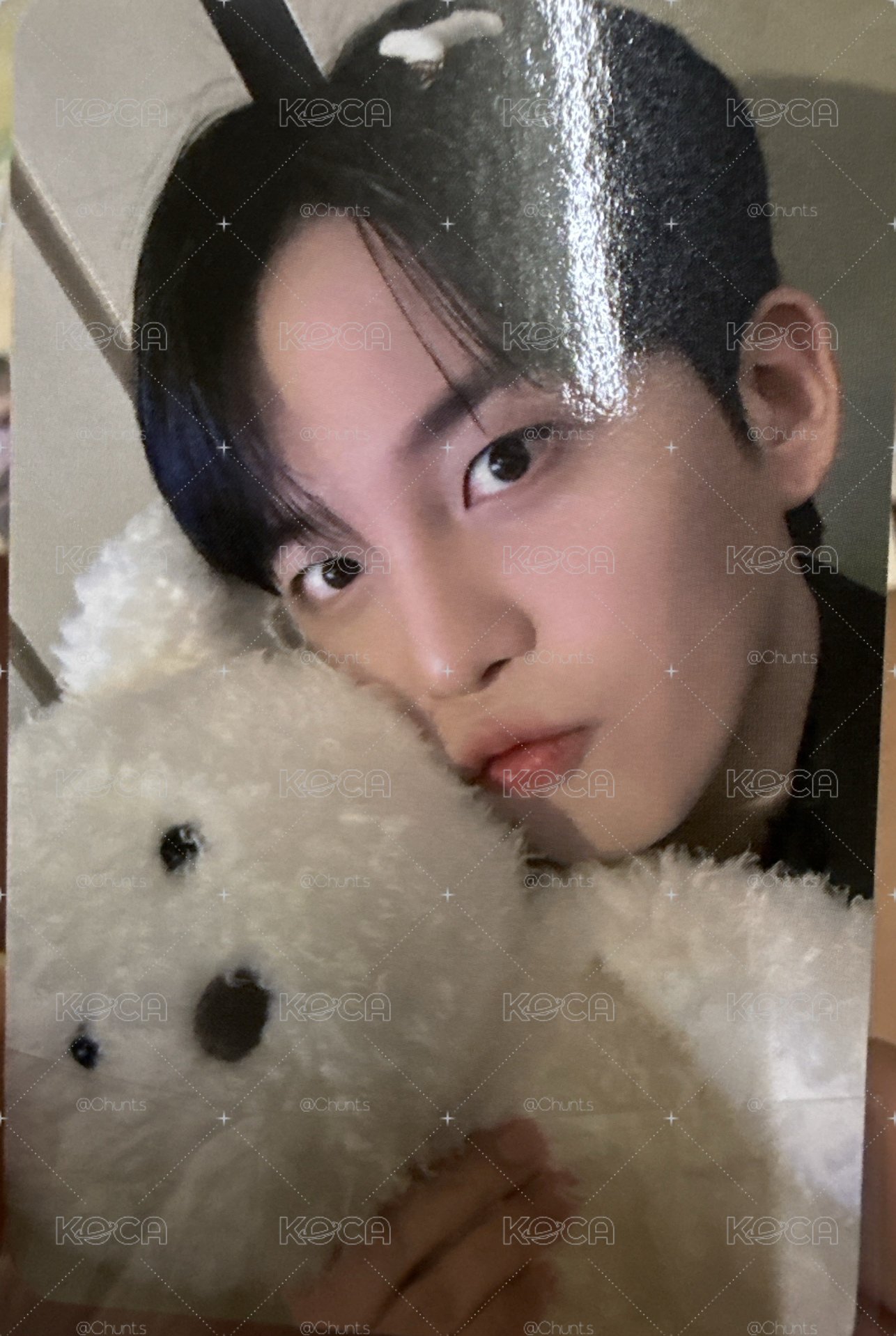 崔小熊🐻
