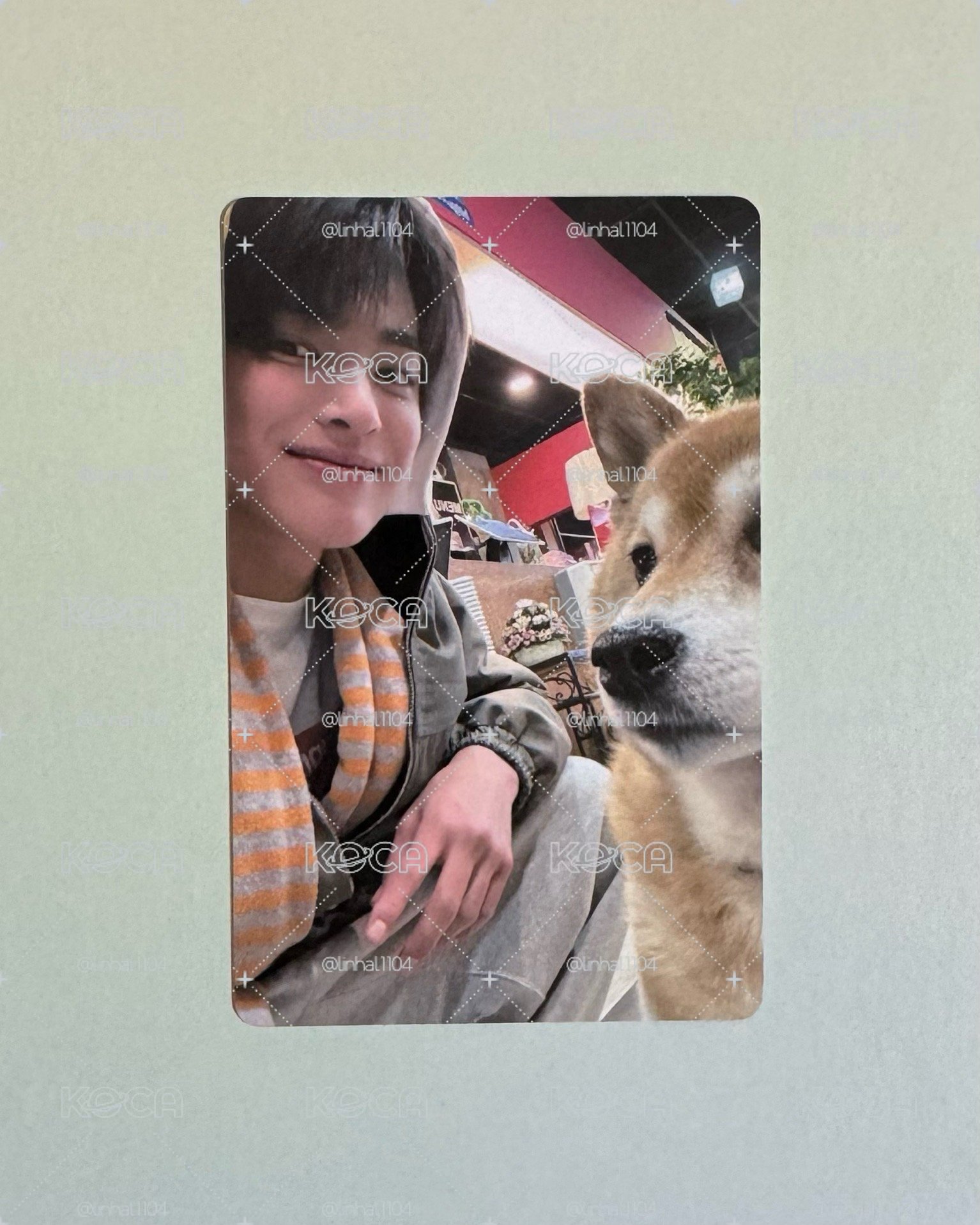 🌟可愛狗狗安