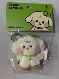 安吊飾(全新未拆）