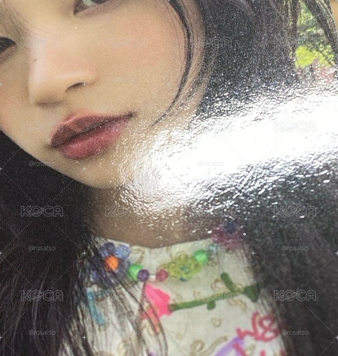 萌四張一起競