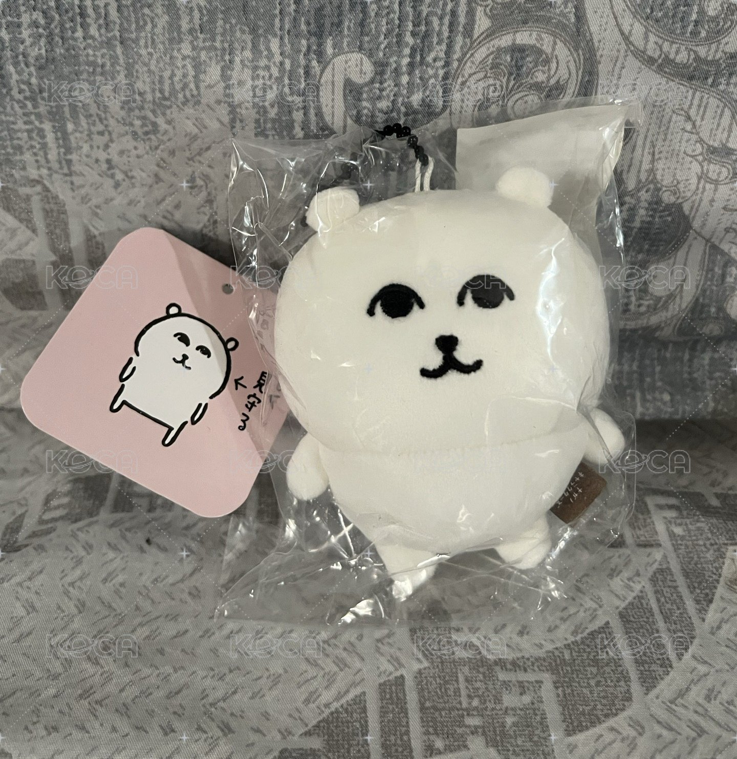 趙哥熊 溫柔熊