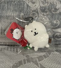 玫瑰熊