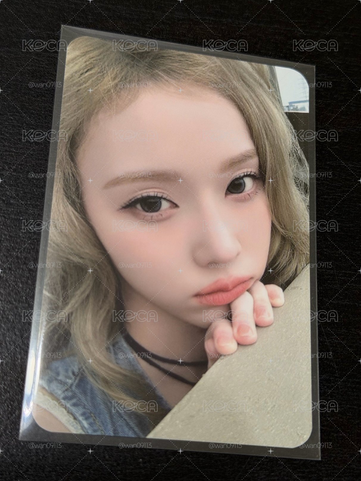 👑冬