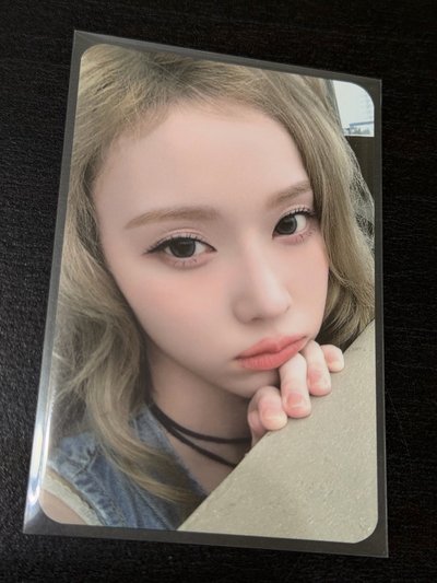 👑冬