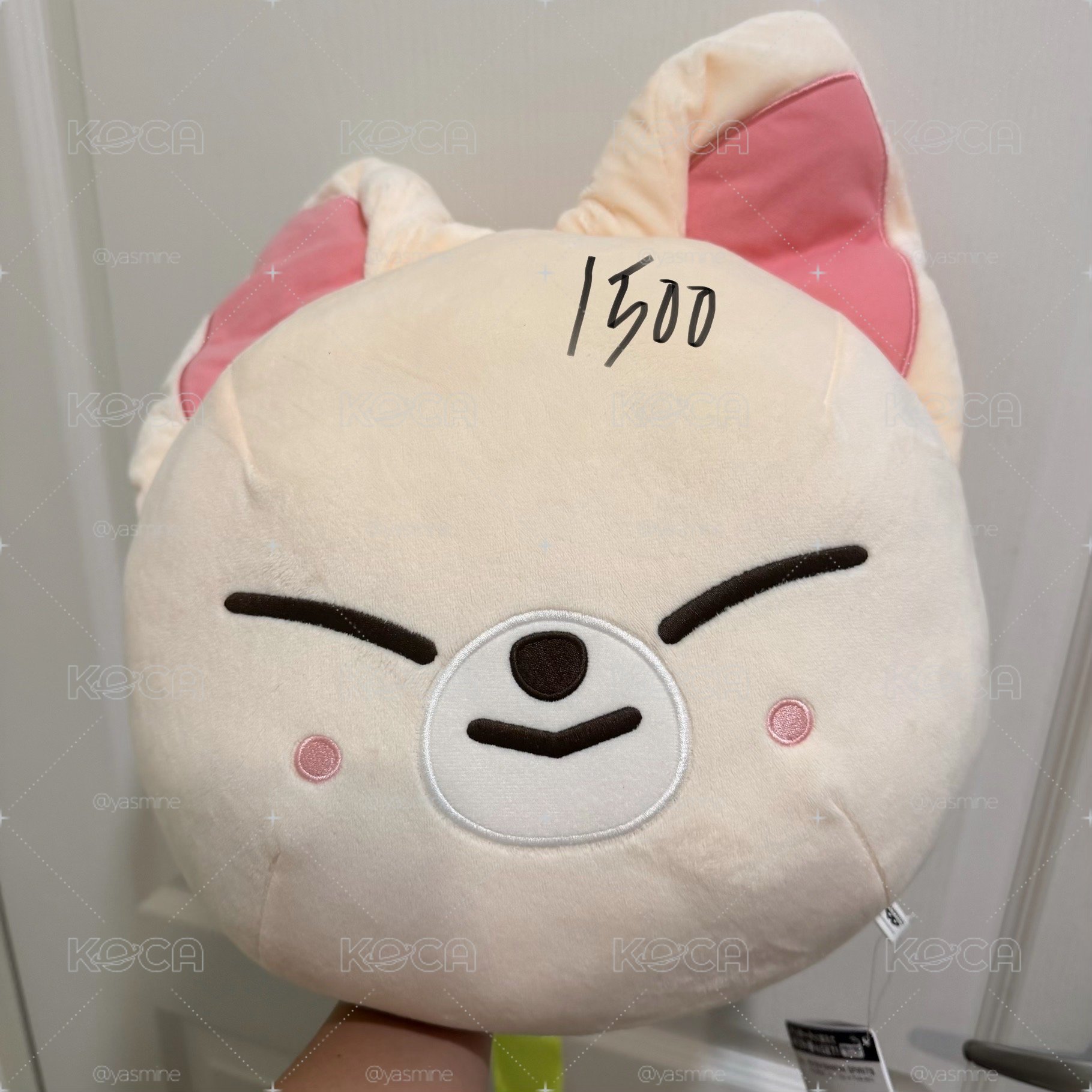 泰迪小盤
