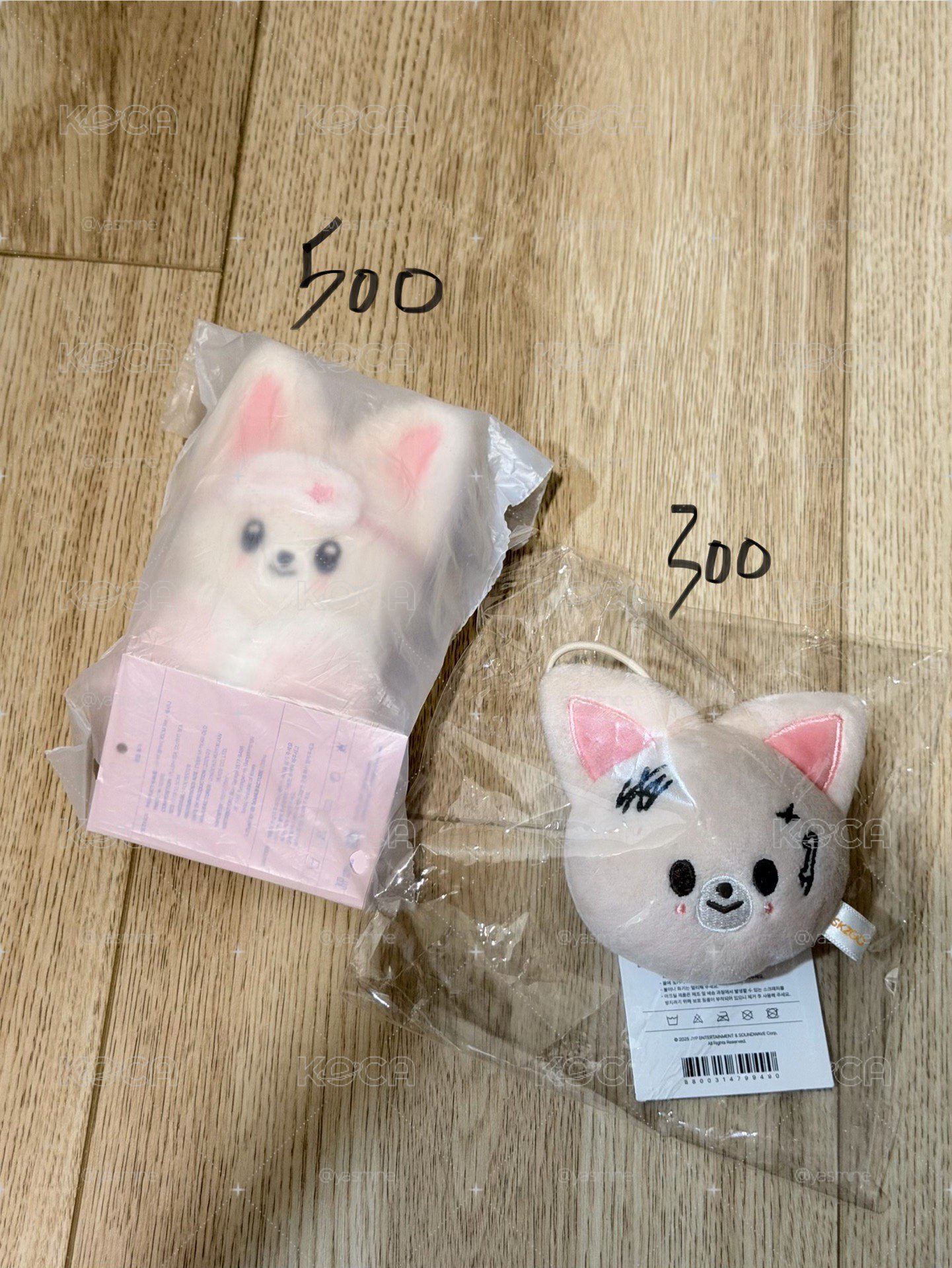 泰迪小盤