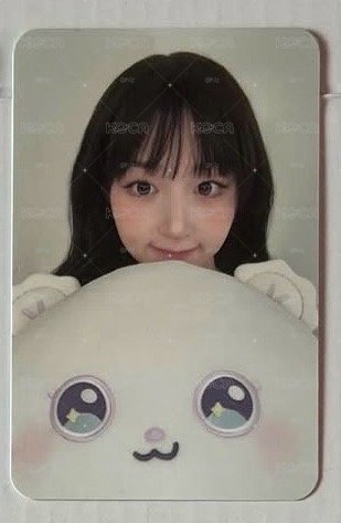 嫄/餃子熊抱枕卡