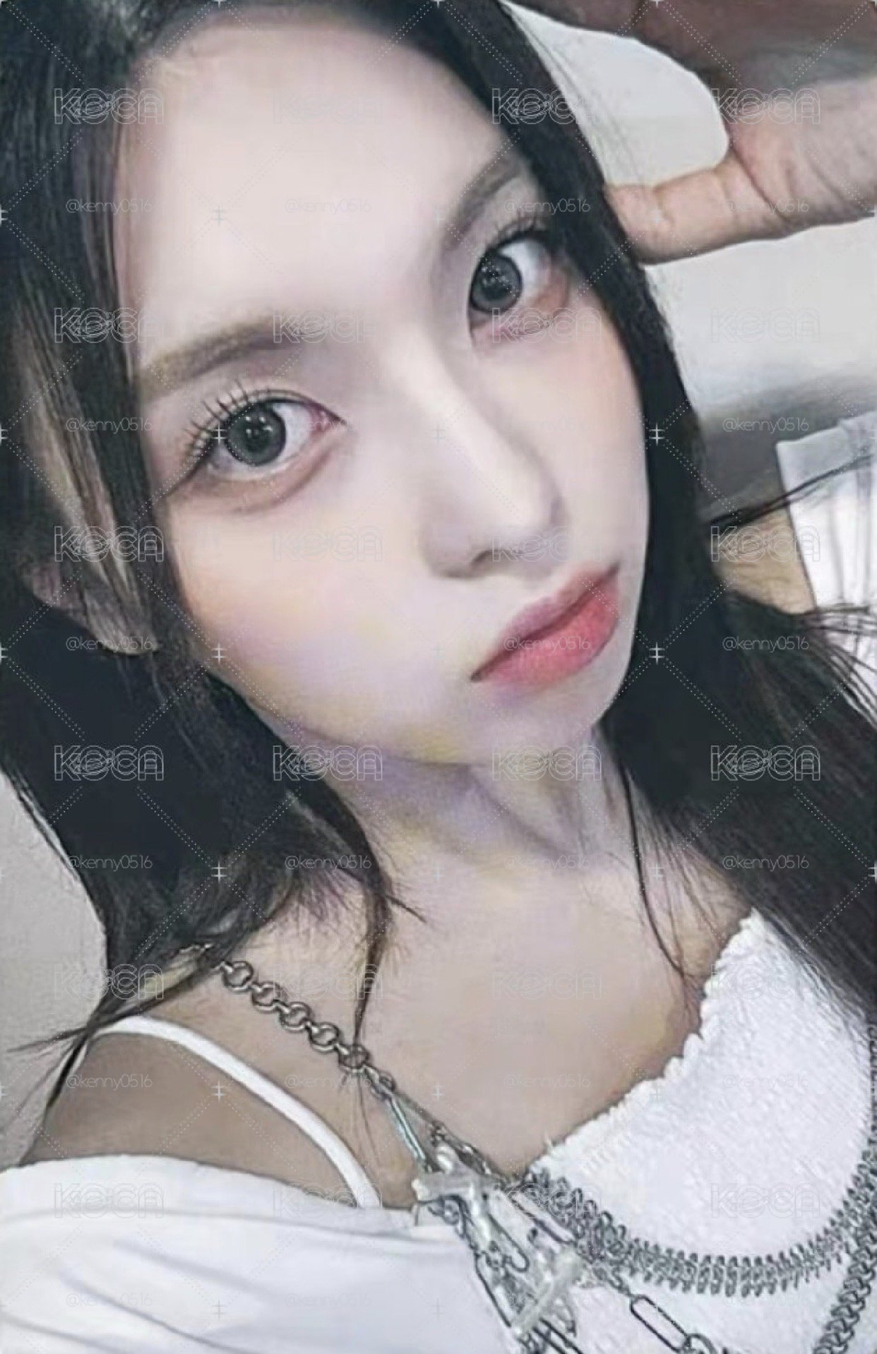 狗耳裴 