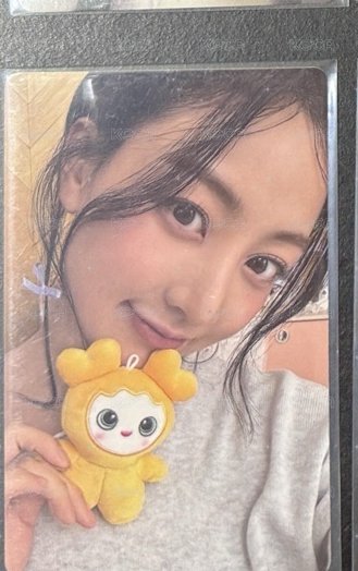 五期效