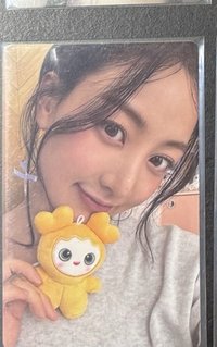 五期效