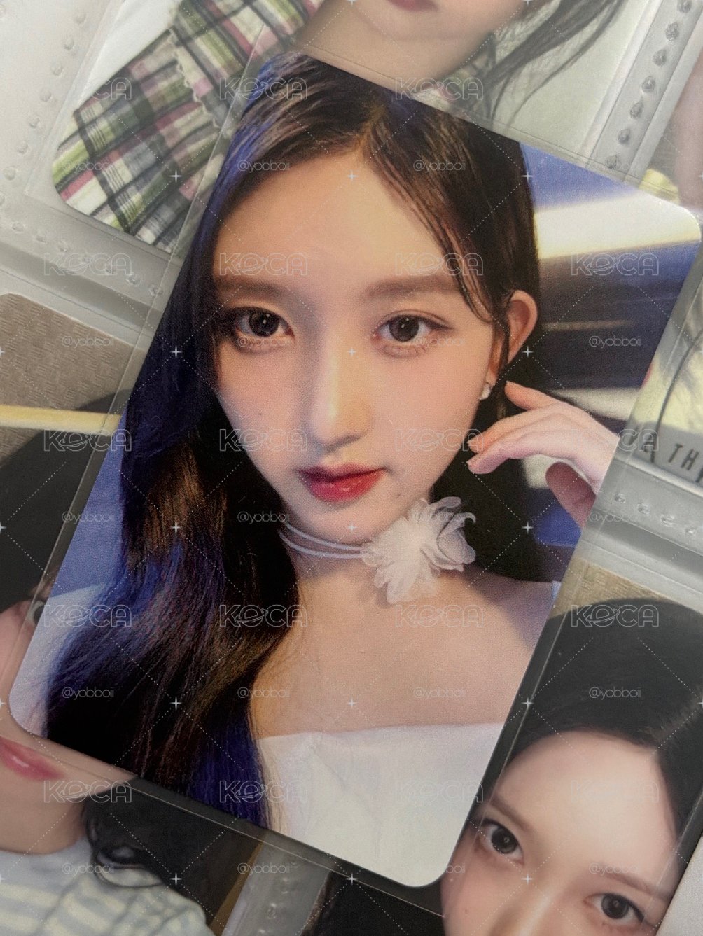 美美秋