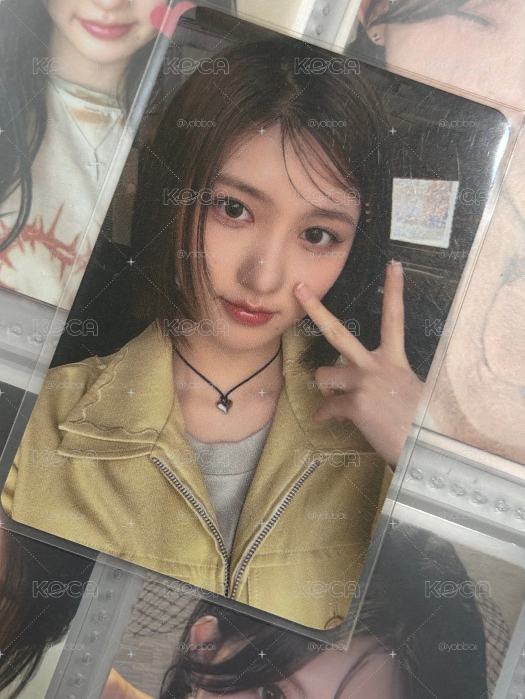 玉米秋