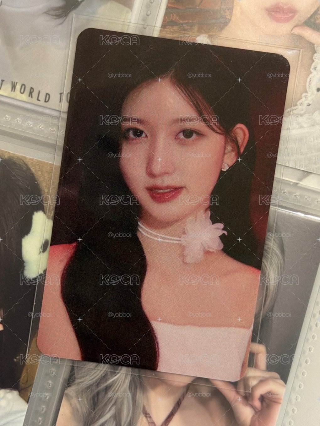 美美秋
