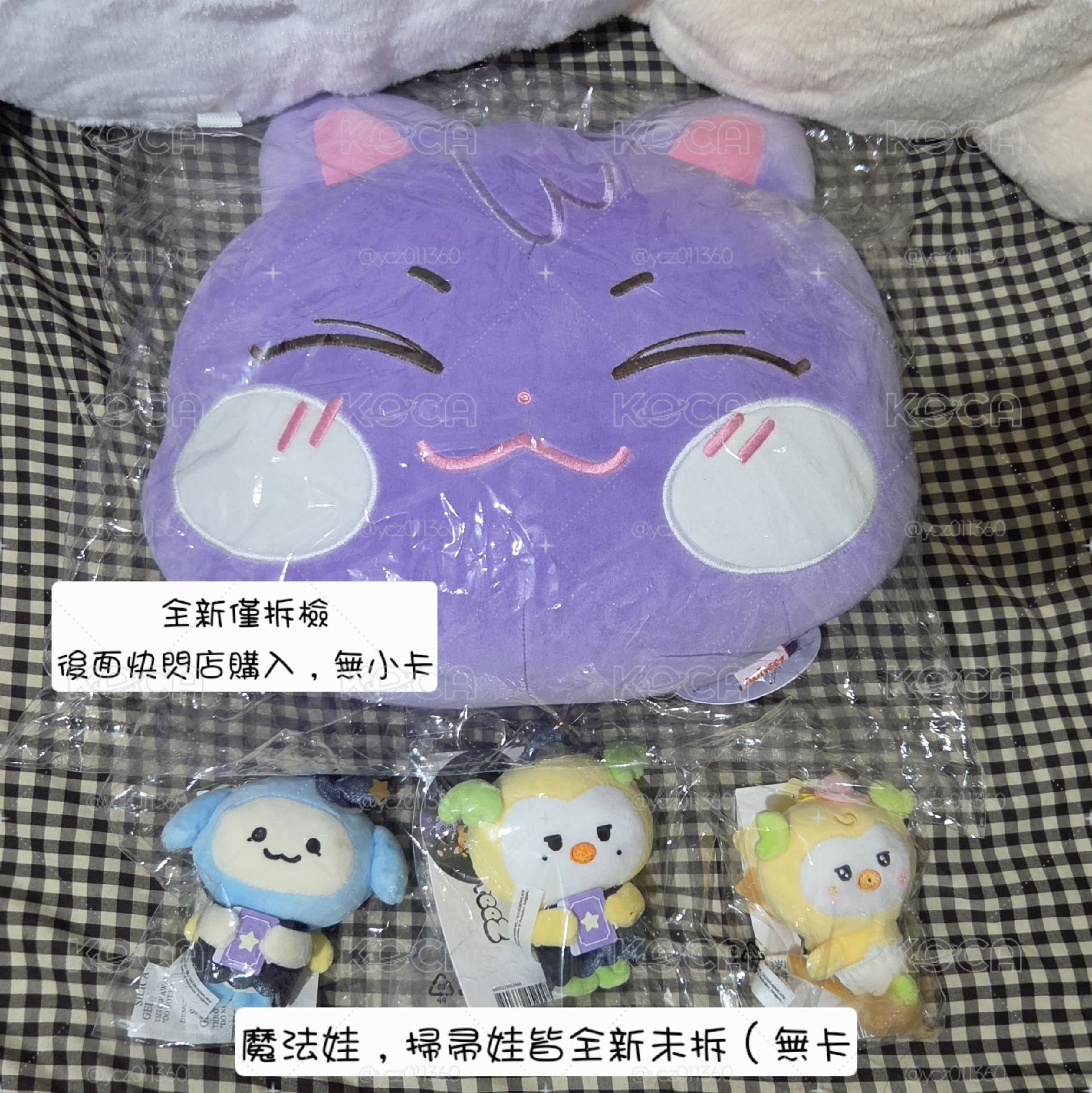 ANITEEZ 傘抱枕小盤（兩圖不拆）