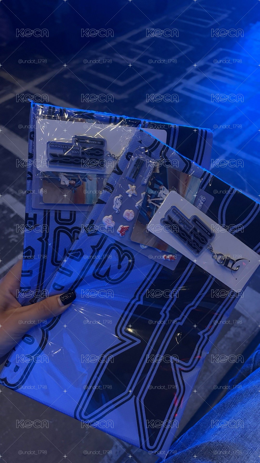 日巡P席禮