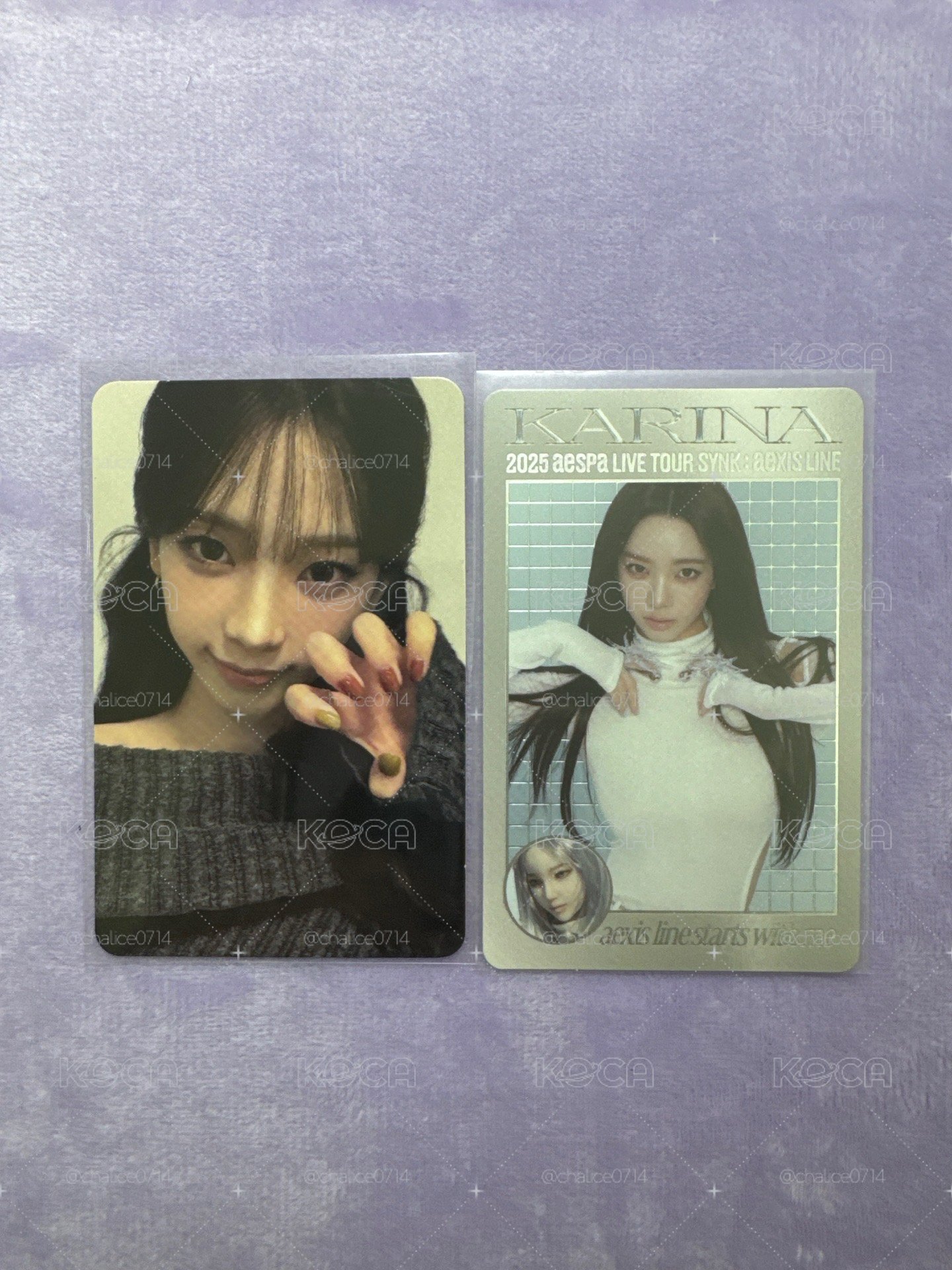 二巡 隨機卡 首爾安可場 貓爪柚&圖上