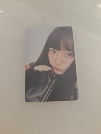 ny1.0羽毛