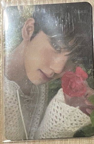 紅花辰
