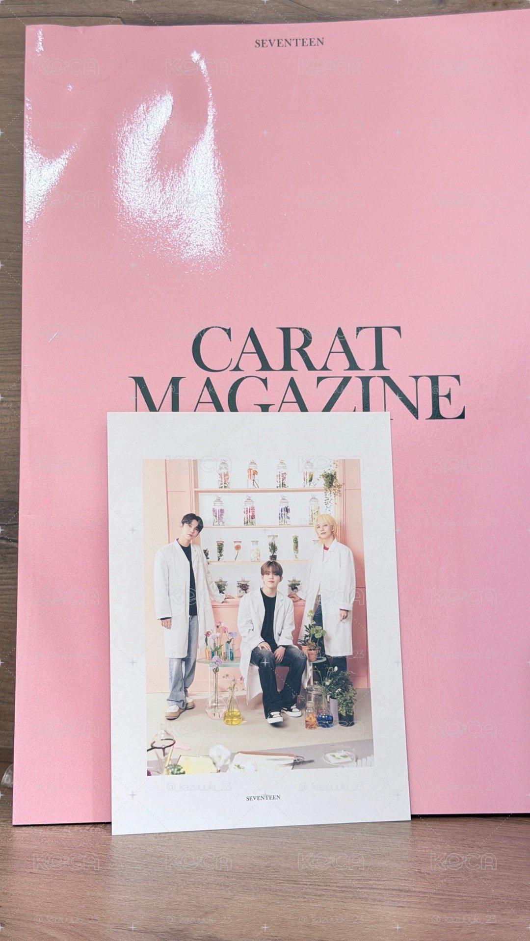SVT 日本FC會刊 95line