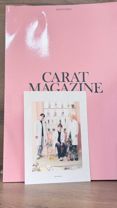 SVT 日本FC會刊 95line