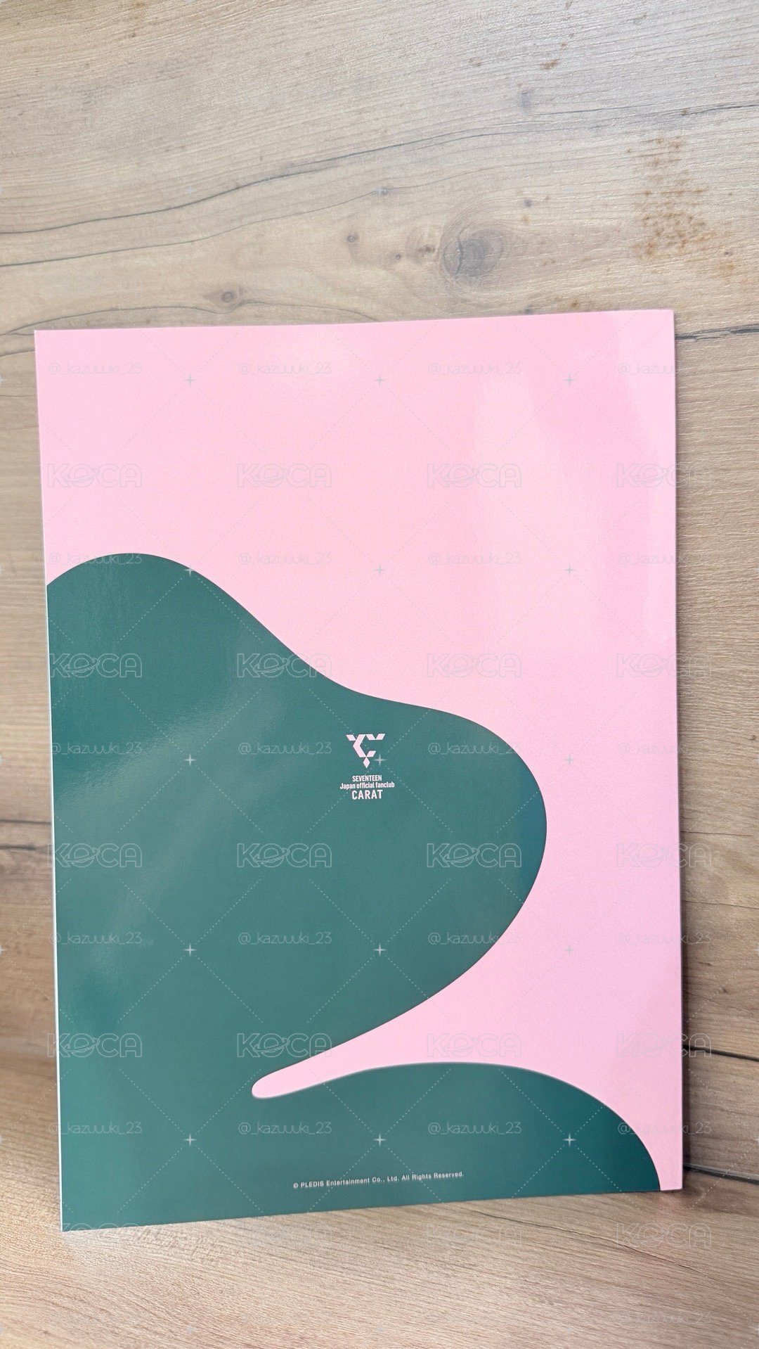 SVT 日本FC會刊 95line