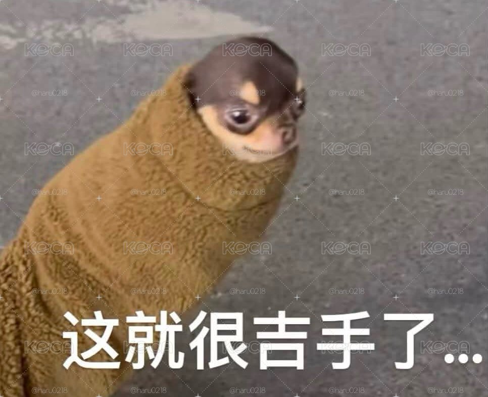 角小盤