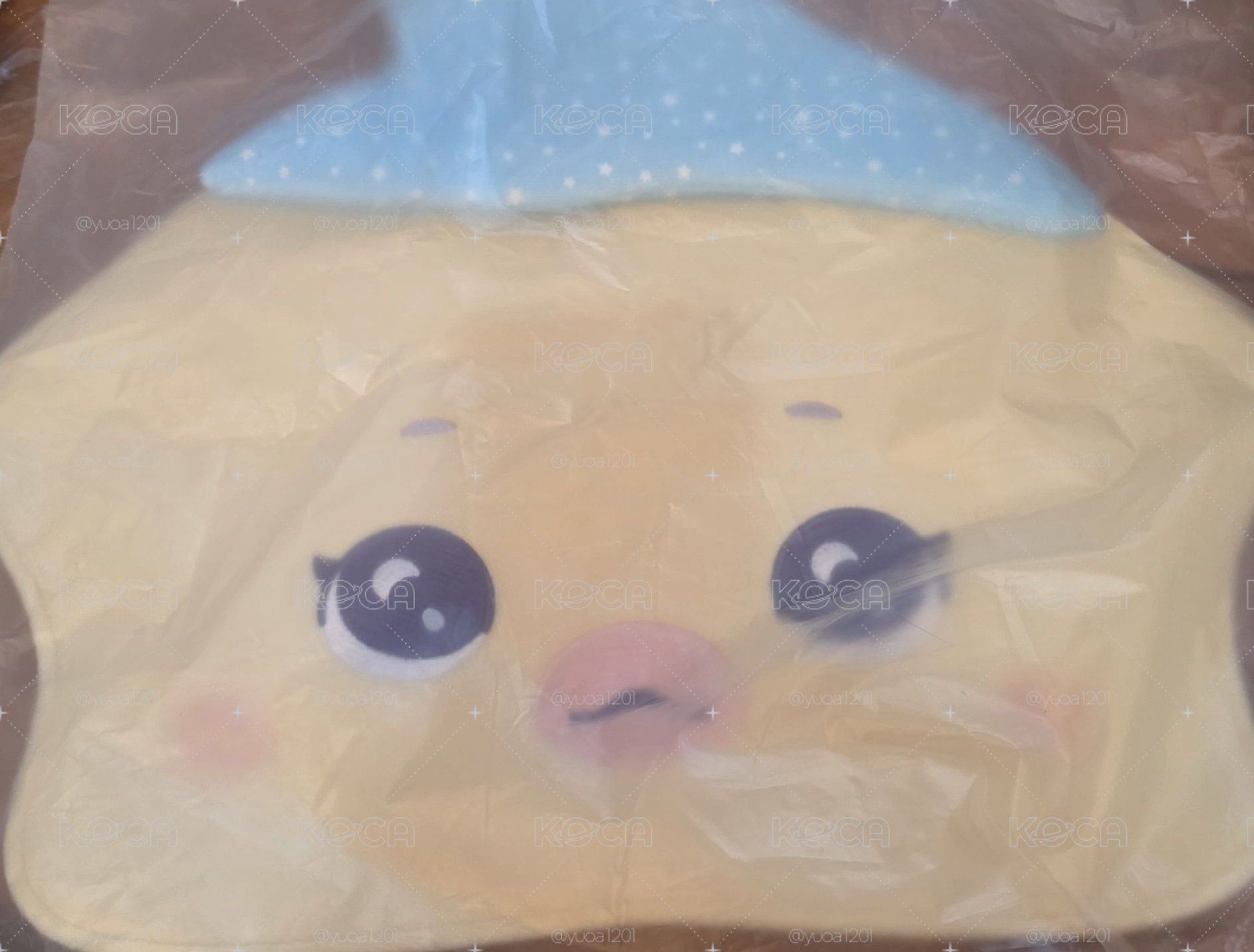 Bae扇套