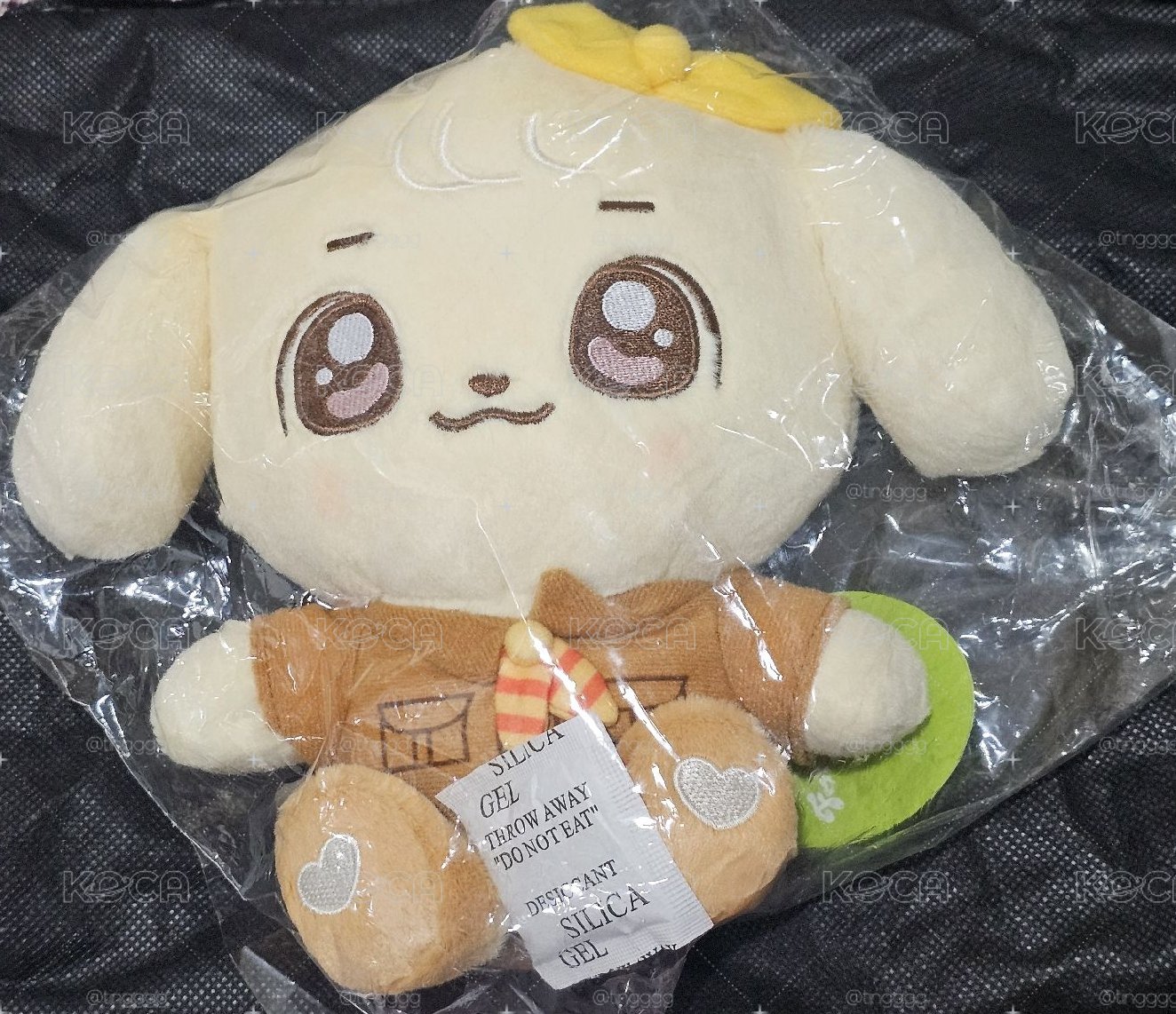 安狗勾領養