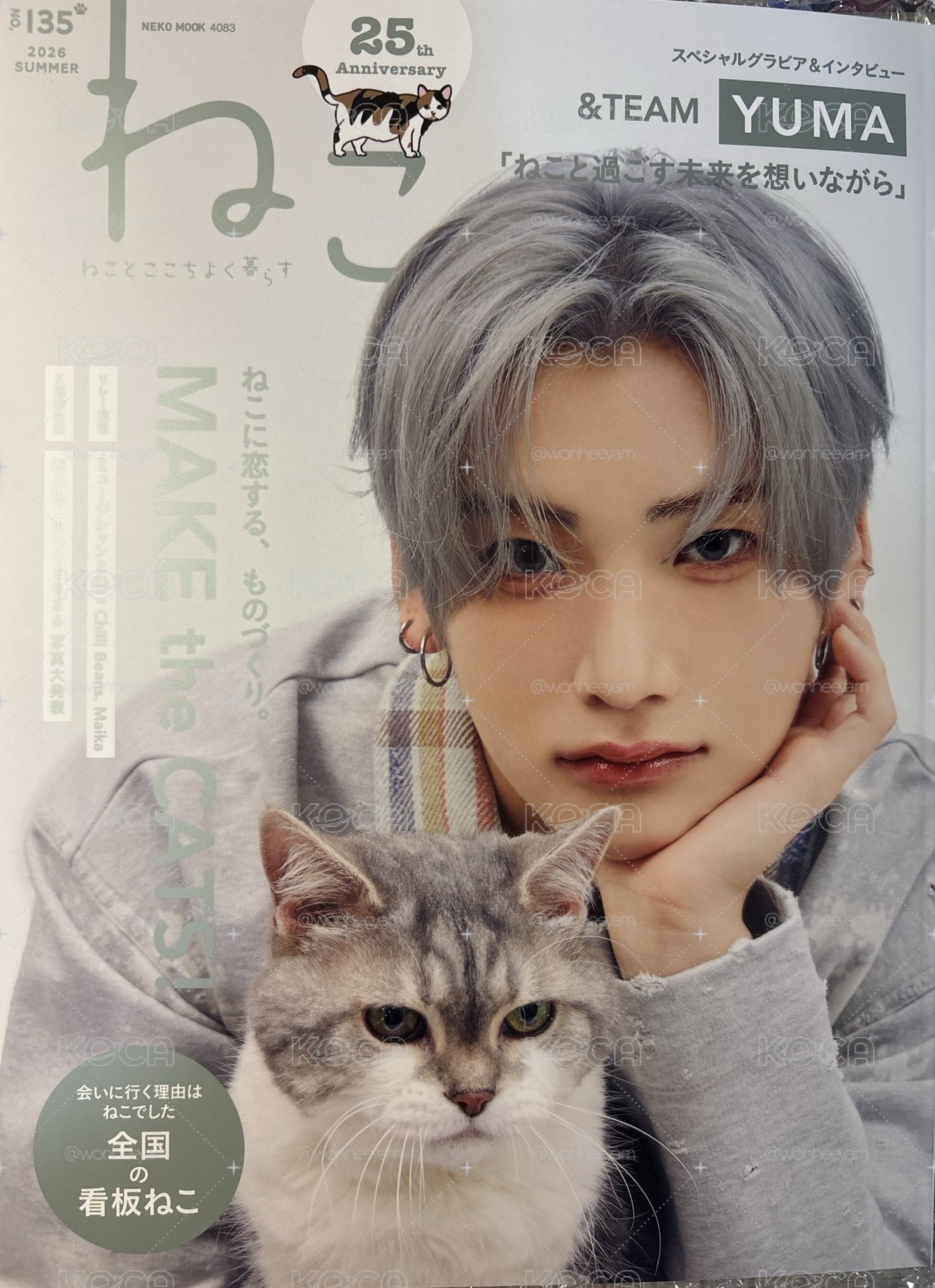 ねこ🐱