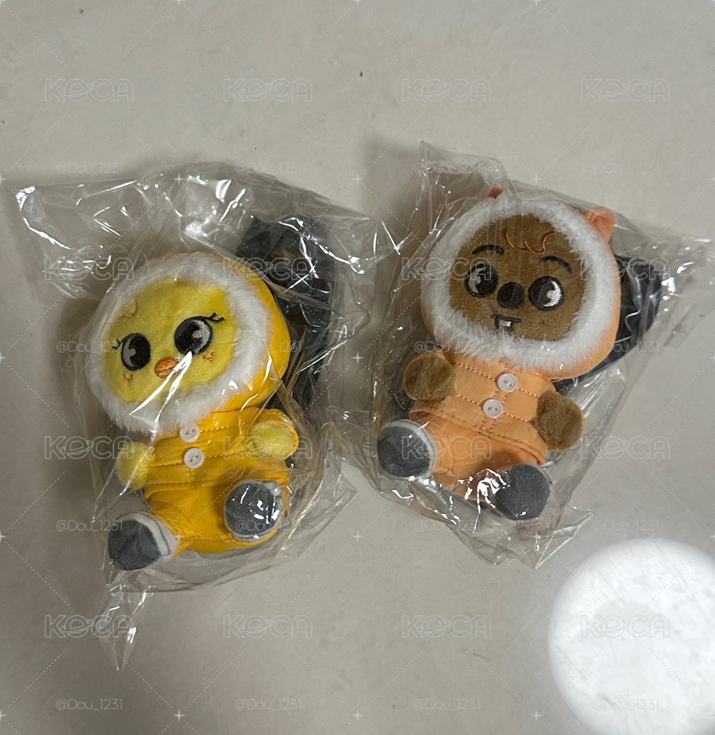 Dominate日周🐷🐰🐥🐿️