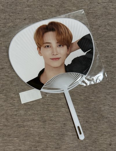 淨漢大扇盤